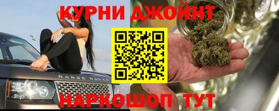 мяу мяу мука Будённовск