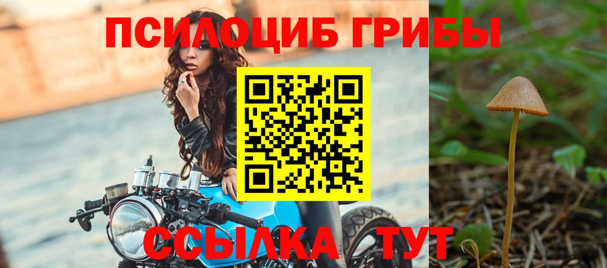 Новомосковск  Псилоцибиновые грибы ЛСД  Вход с VPN 
