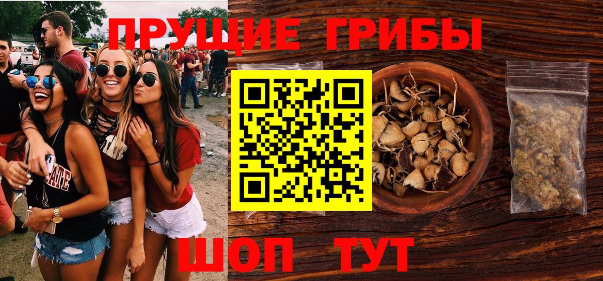 Псилоцибиновые грибы ЛСД Новомосковск